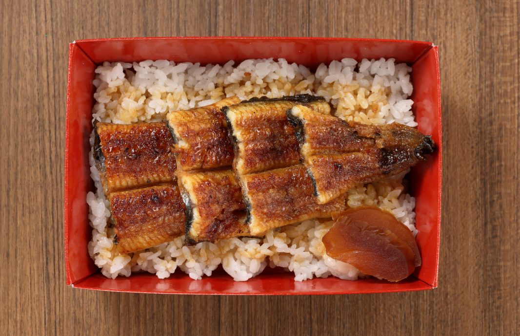 うなぎ弁当 4切れ