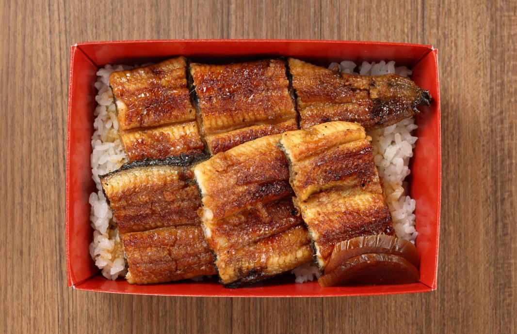 うなぎ弁当 6切れ